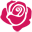 Rose Bullet Image